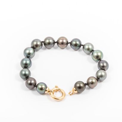 null Bracelet grey cultured pearls diam:10.5mm approximately, gold clasp 

Gross...