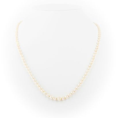 null Necklace in fall, cultured pearls, diam: 3mm to 6.8mm approximately, gold clasp...