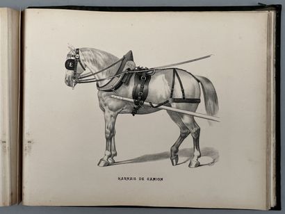 null [HORSE]. ALBUM DE LA SELLERIE FRANÇAISE. Paris, Moniteur de la Sellerie Civile...