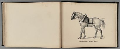 null [CHEVAL]. ALBUM DE LA SELLERIE FRANÇAISE. Paris, Moniteur de la Sellerie Civile...