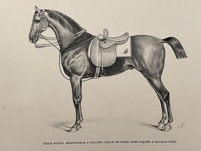 null [CHEVAL]. ALBUM DE LA SELLERIE FRANÇAISE. Paris, Moniteur de la Sellerie Civile...