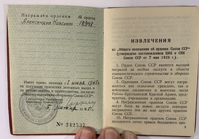Exceptionnelle décoration Historique de l'ordre Soviétique Alexandre Nevski au numéro...