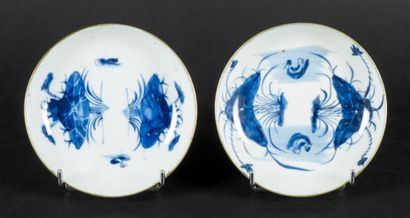 null Deux coupelles en porcelaine bleu de Hué à décor de lotus et canards.

Jade...