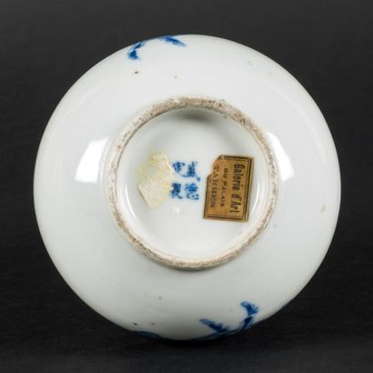 null Porcelain bottle vase with long neck decorated with longevity emblems and prunus...