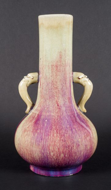 A long-necked vase decorated with two handles...