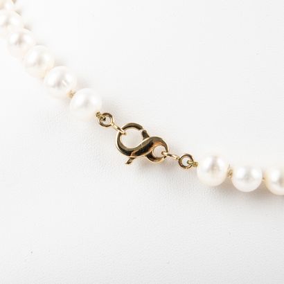 null Necklace in choker freshwater pearls diam: 8.5mm and gold pendant and micro...