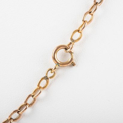 null Gold chain fancy mesh.

Weight: 10.3 g - L: 44.5 cm-accidents