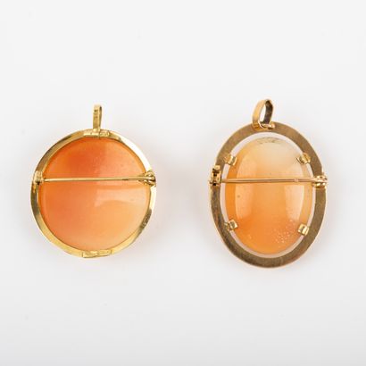 null Two brooch pendants engraved in cameo on shell, gold setting 

Gross weight...