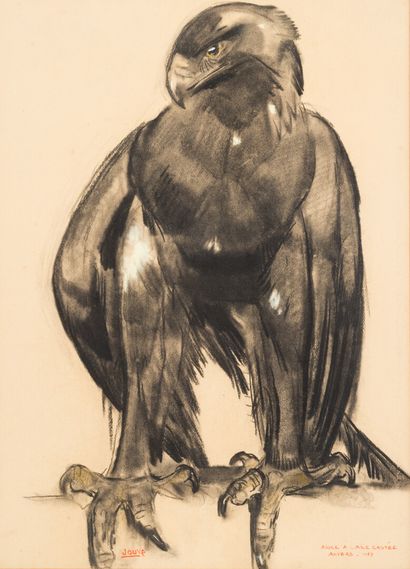 null Paul JOUVE (1878-1973)

Aigle à l'aile cassée

Dessin au fusain

Signé, titré,...