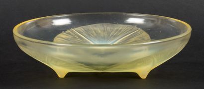 null René LALIQUE (1860 -1945) - Coupe volubilis en verre moulé pressé teinté jaune,...
