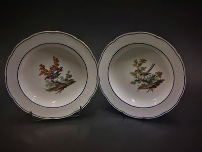 null Sevres



Two soft porcelain soup plates with contoured edges with polychrome...
