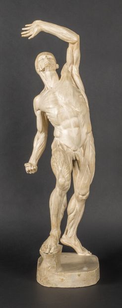 null After Jacques-Eugène CAUDRON (1818-1865).

The skinned man fighting.

Plaster...