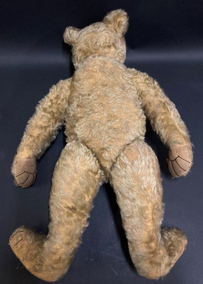 null Teddy bear.

German manufacture ?, circa 1920 

H: 65 cm

(accident and tears...
