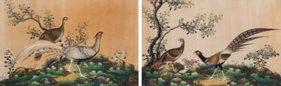 null CHINESE SCHOOL late 19th century

Pheasants in a wooded landscape

Pair of paintings...