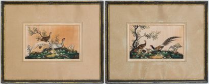null CHINESE SCHOOL late 19th century

Pheasants in a wooded landscape

Pair of paintings...