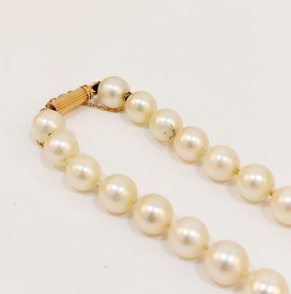 null Sautoir en perles de culture en choker diam 7.5 mm environ, fermoir or

L: 80...