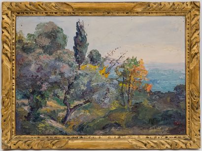 null M. COUDER (XIX-XXth)

Olive trees, Saint Maxime road, Nice

Oil on canvas signed...