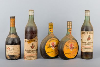 null 5	bouteilles 	ARMAGNAC 	très anciens 	 (2 de Bruchaut, 2 de Lafontan, 1 Marquis...