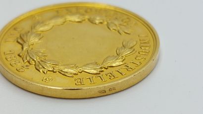 null Médaille Ville de Foix en or, exposition universelle Mai 1883 
Poids: 17.2 g...