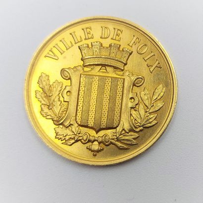 null Médaille Ville de Foix en or, exposition universelle Mai 1883 
Poids: 17.2 g...