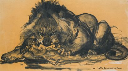 null Henri DELUERMOZ (1876-1943)
Lion devouring its prey
Charcoal drawing, enhanced...