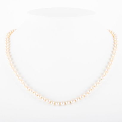 null Choker necklace with cultured pearls, diam. 5 mm approx., 18K gold cuff clasp...
