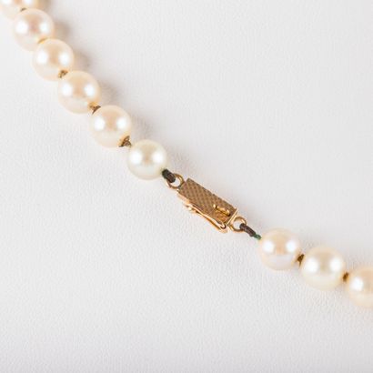 null Collier perles de culture en choker ,diam: 6.4mm env, fermoir or 
L: 47 cm 