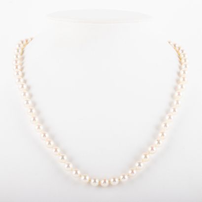 Necklace, shoker cultured pearls, 18K gold...