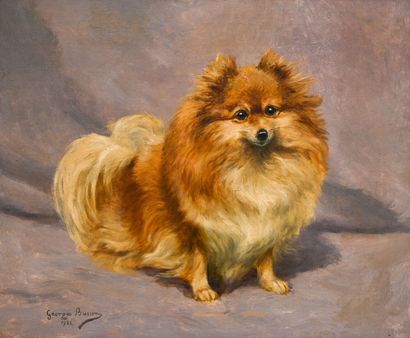 Georges Louis Charles BUSSON (1859-1933)
Spitz...