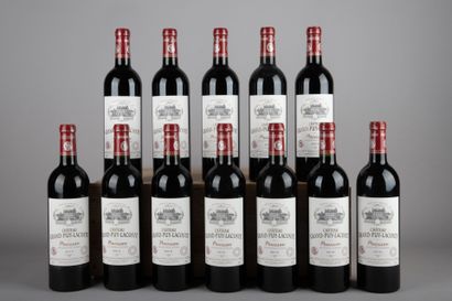 null 12 bottles CHÂTEAU GRAND-PUY-LACOSTE 2010 5th GC Pauillac (CBO)