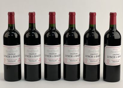 null 6 bottles CHÂTEAU LYNCH-BAGES 2009 5th GC Pauillac (CBO)