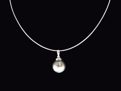 null Cable argent pendentif or gris perle de culture de Tahiti, diamètre 11 mm. 
Poids...