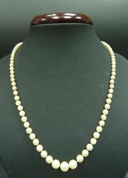 null Collier de perles de culture en chute, diamètre 3 à 7,5 mm. fermoir or et pierres...