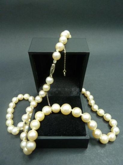 null Collier de perles de culture en chute, diam 6 à 9 mm environ, fermoir or.
L...
