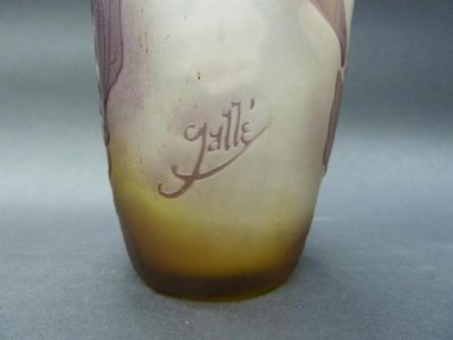null Emile GALLE (1846-1904)
Vase en verre multicouche à décor de fleurs gravé à...