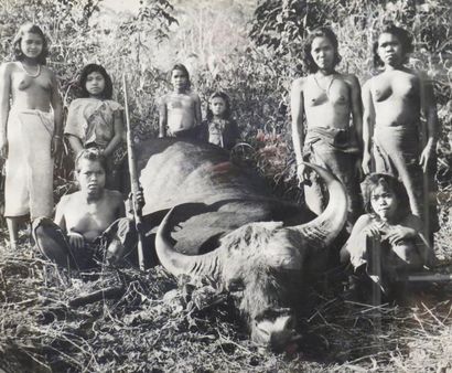 null La chasse au buffle en famille, Laos (?) vers 1930-50
Epreuve photographique...