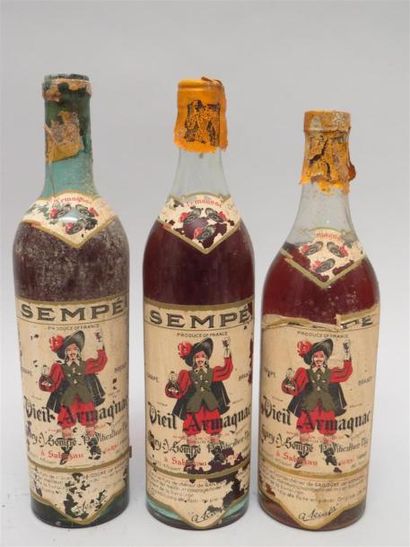3 bouteilles Vieil Armagnac - Sempé à Sabazan...