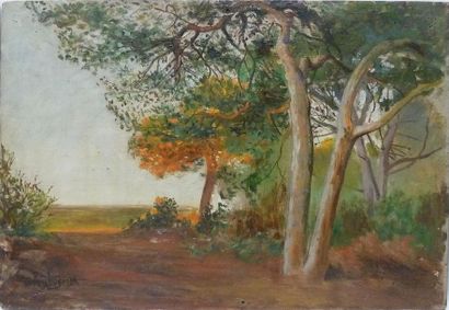 null Georges Antoine ROCHEGROSSE (1859-1938)
Les bois
Suite de trois huiles sur panneaux...