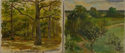 null Georges Antoine ROCHEGROSSE (1859-1938)
Les bois
Deux huiles sur panneaux (1...
