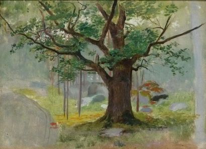null Georges Antoine ROCHEGROSSE (1859-1938)
Etude de chêne, Fontainebleau
Huile...