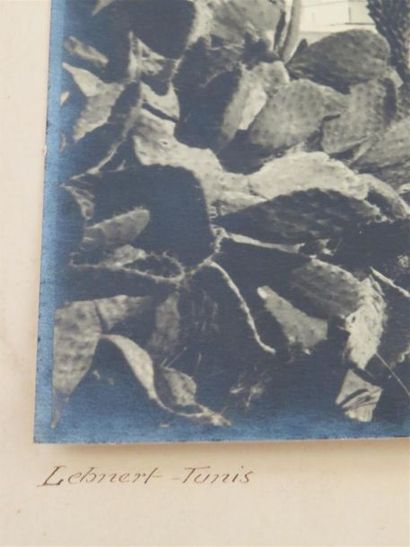 null LEHNERT (Rudolf Franz). Photographie (12,5 X 17,5 cm) contrecollée sur carton...
