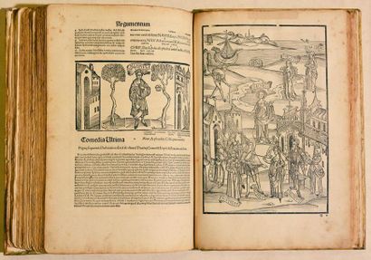 [INCUNABLE]. [TERENCE]. TERENTIUS AFER (PUBLIUS)....