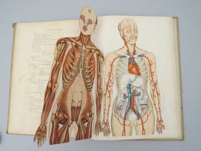 null [ANATOMIE]. RABAUD (Etienne). Anatomie et physiologie du corps humain. Paris,...