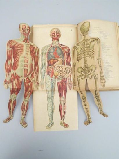 null [ANATOMIE]. RABAUD (Etienne). Anatomie et physiologie du corps humain. Paris,...