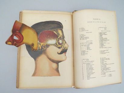 null [ANATOMIE]. RABAUD (Etienne). Anatomie et physiologie du corps humain. Paris,...