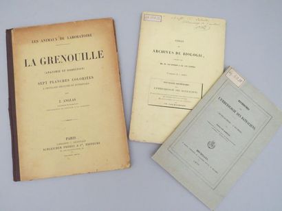 null [BATRACIENS]. ANGLAS (J.). Les animaux de laboratoire. La Grenouille (Anatomie...