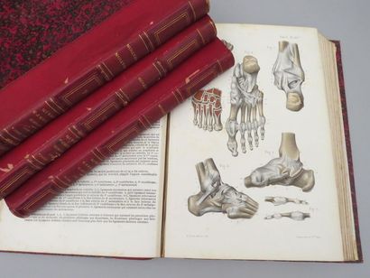 null [ANATOMIE]. BONAMY (C.) BROCA (Paul) BEAU (Emile). Atlas d'anatomie descriptive...
