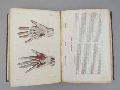 null [ANATOMIE]. BONAMY (C.) BROCA (Paul) BEAU (Emile). Atlas d'anatomie descriptive...