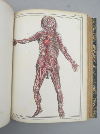 null [ANATOMIE]. CLOQUET (Jules). Manuel d'anatomie descriptive du corps humain représentée...