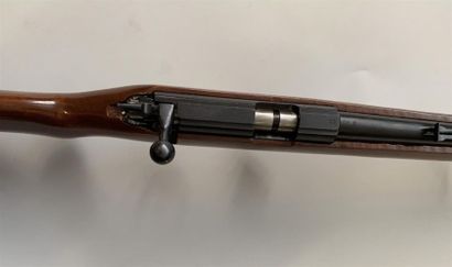 null Carabine 22 Long Rifle, fabrication chinoise modèle JW-15 A. N° 9431310. Chargeur...